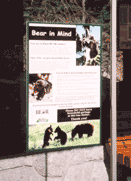 sample bear smart decal for windows (bus shelter)