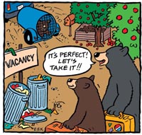 trapping bears in conflict with people/humans