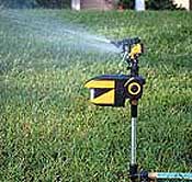 A Scarecrow (motion activated sprinkler) bears deterrent
