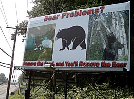 sample bear smart billboard