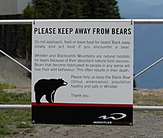 sample bear smart sign in recreational area