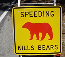 sample beasr smart sign along roadway: Speeding Kills Bears
