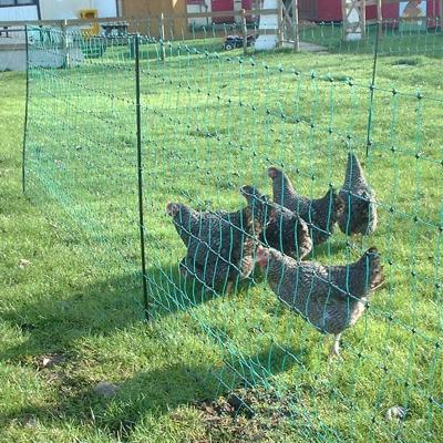 electric netting to keep chickens safe from bears and other predators