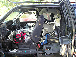 damage caused by a bear who entered a vehicle to access food