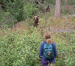 encountering a grizzly bear