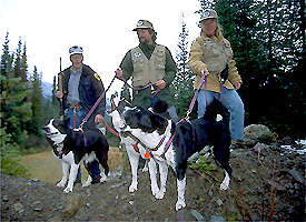 Karelian Bear Dogs and their handlers getting ready to deter bears from area