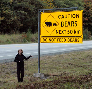 Caution Bears sign along highway
