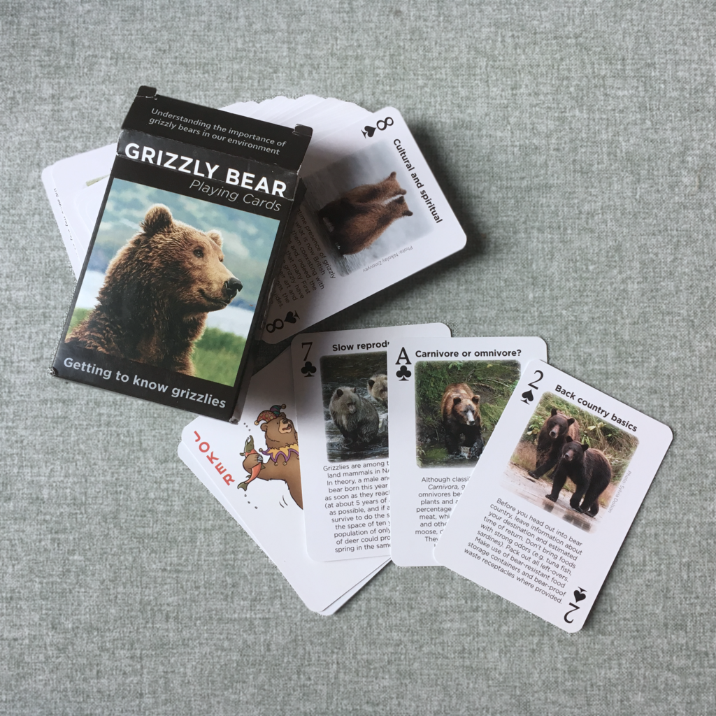 Grizzly bear playing cards 